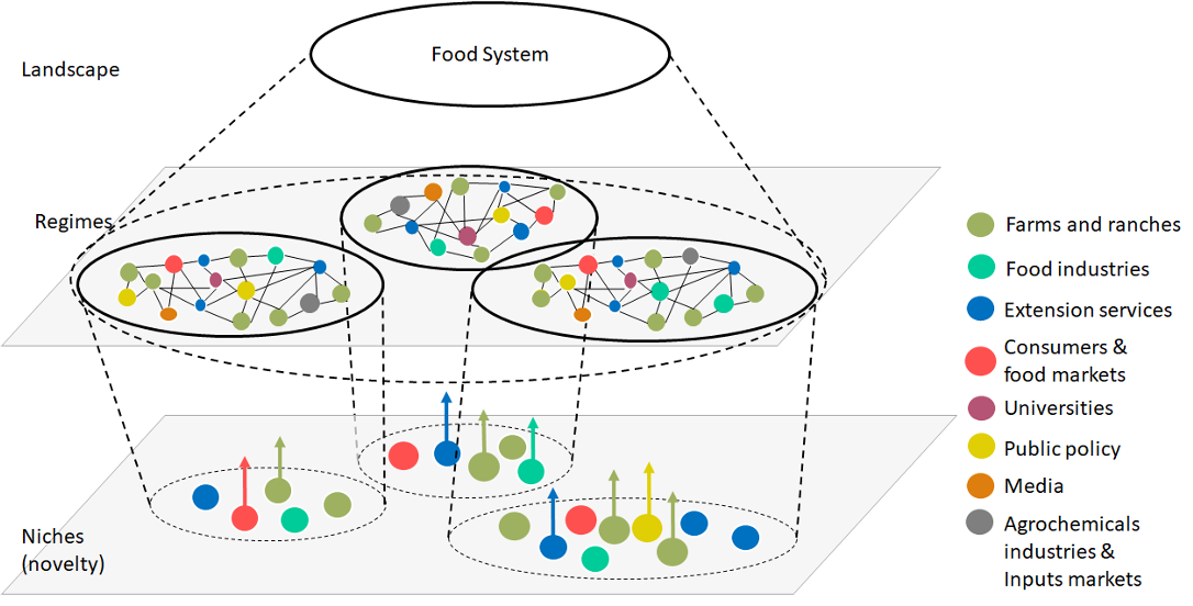 Food system hierarchy